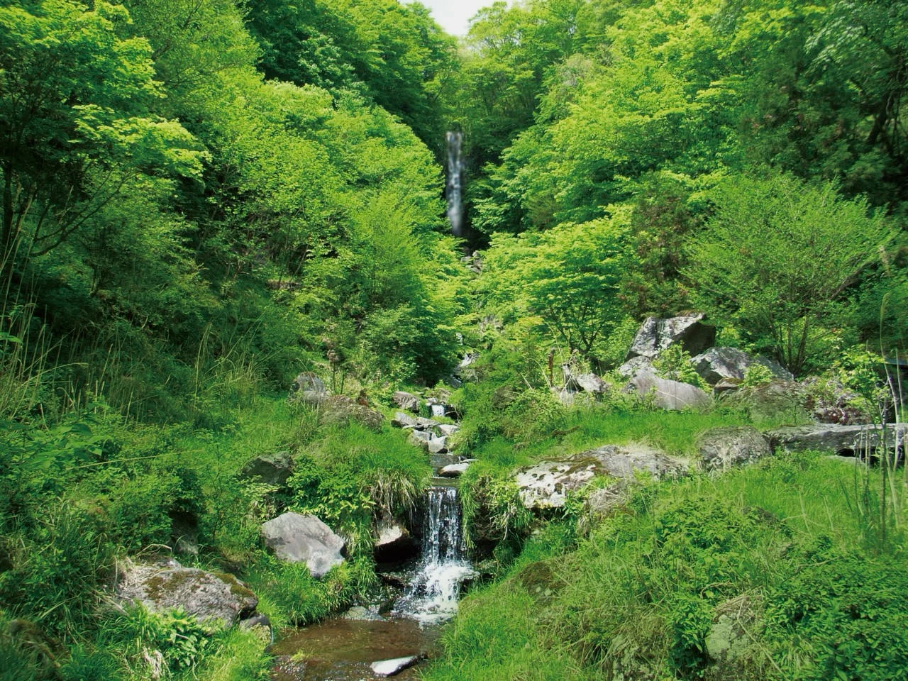 自然と密に触れ合う「美濃が原森林公園」