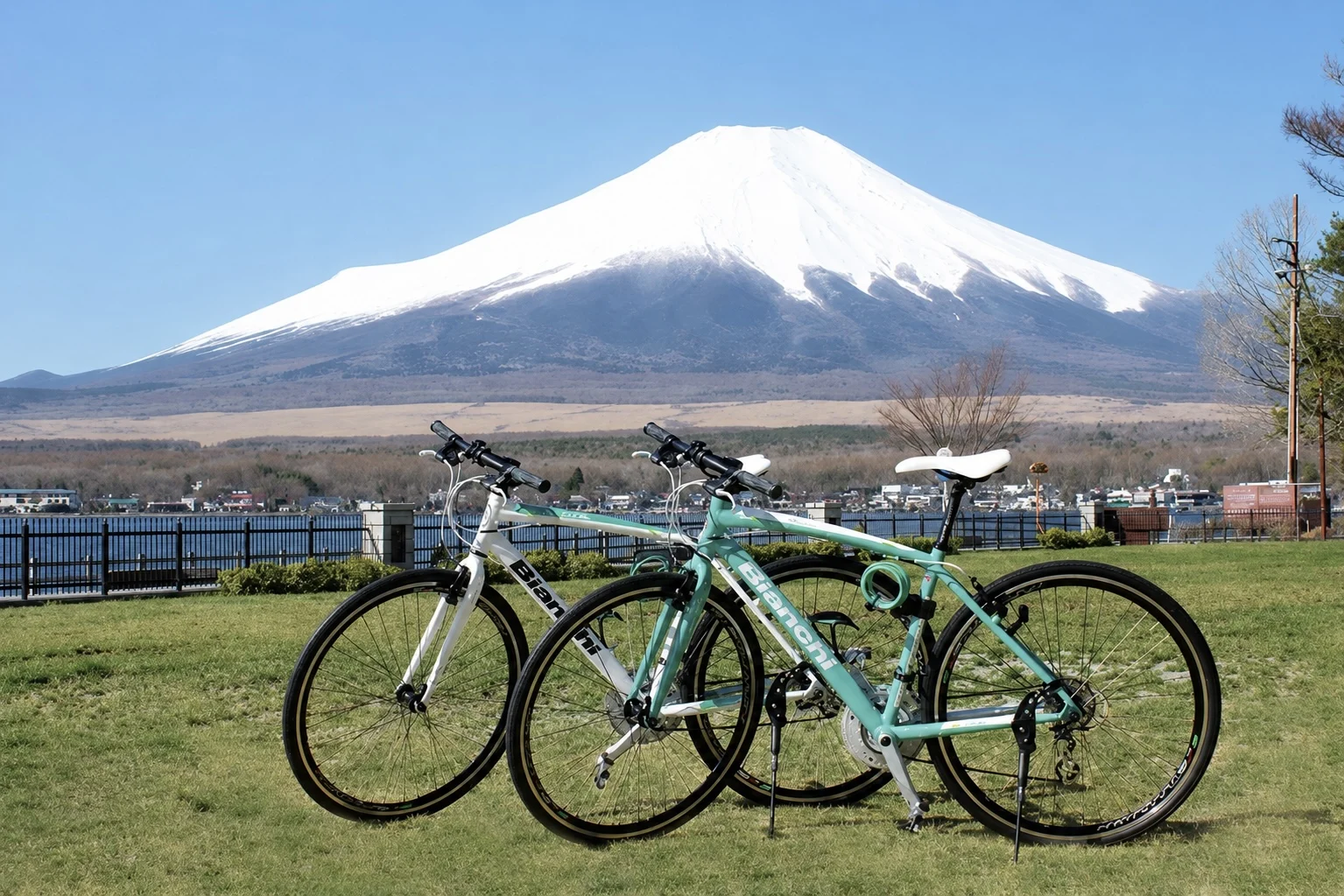 湖畔の自然と一体化するアクティビティ